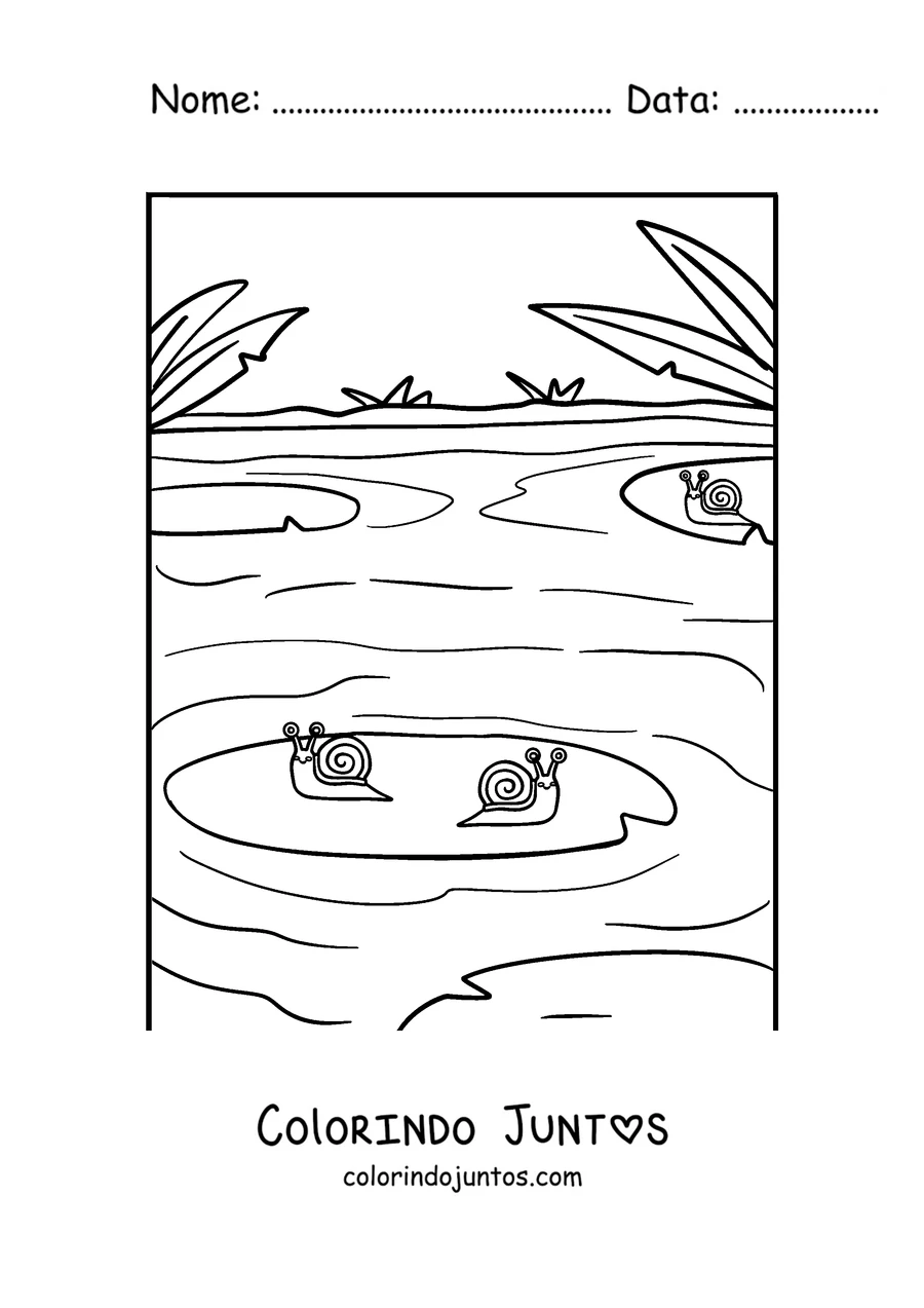 Desenho para colorir de um caracol ao lado de um lago com vitórias-régias