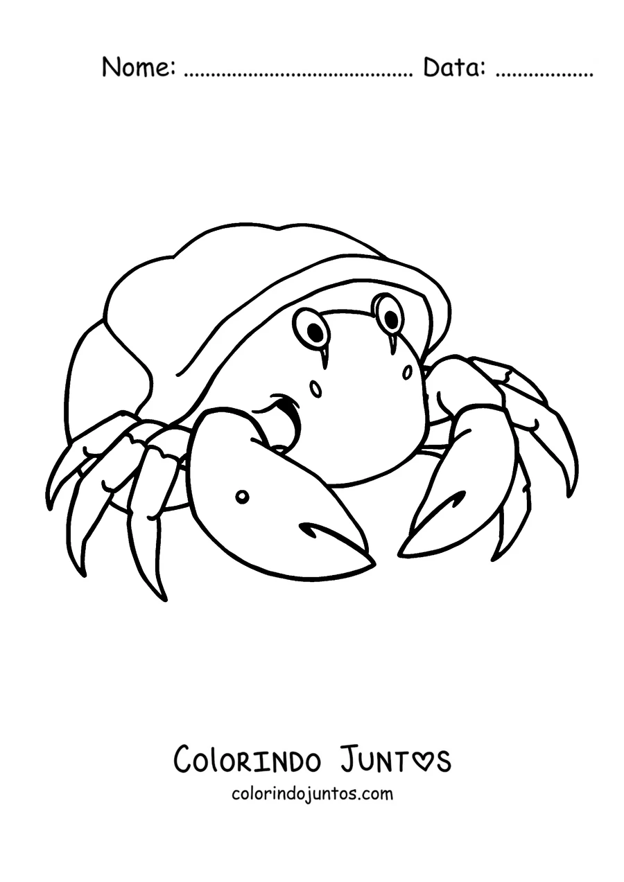 Desenho para colorir de um caranguejo eremita na sua concha