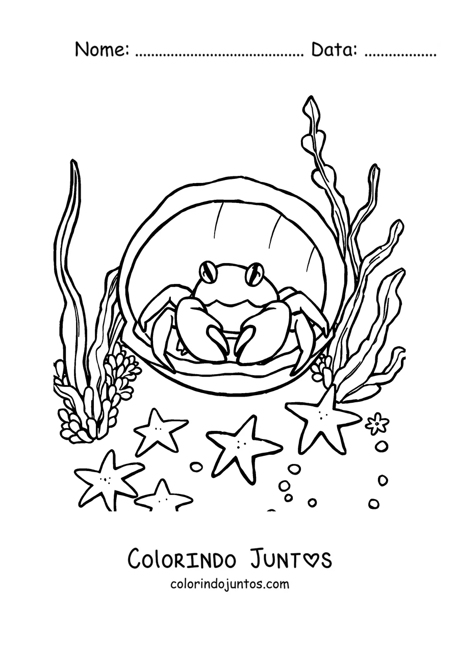 Desenho para colorir de um caranguejo espiando de dentro de uma concha do mar