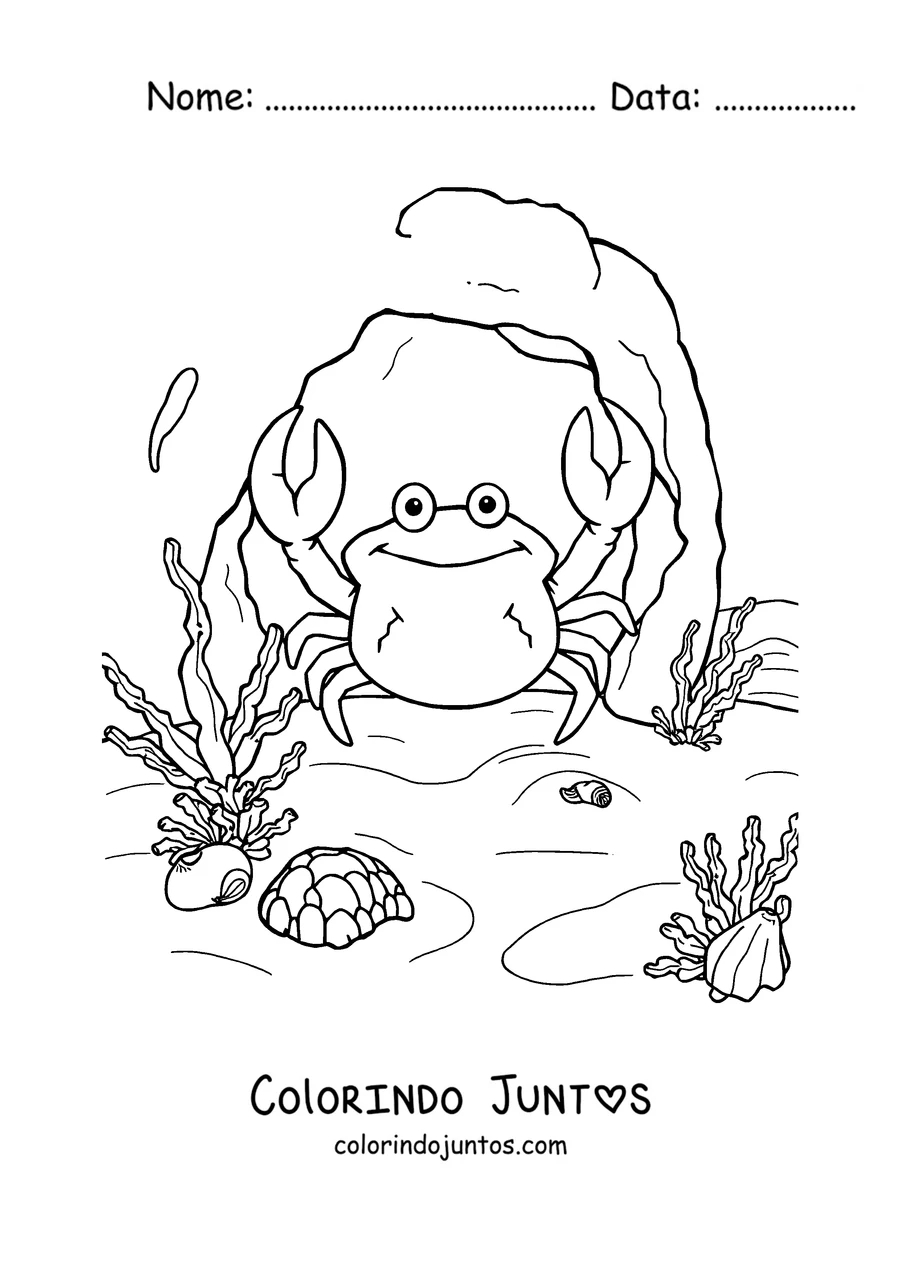 Desenho para colorir de um caranguejo no fundo do mar entre algas e conchas