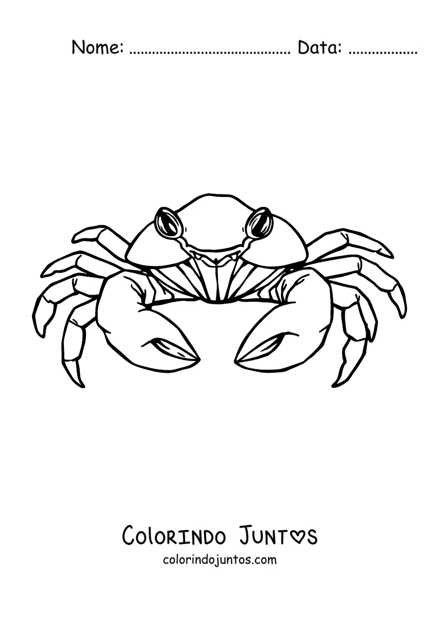 Desenho para colorir de um caranguejo realista visto de cima
