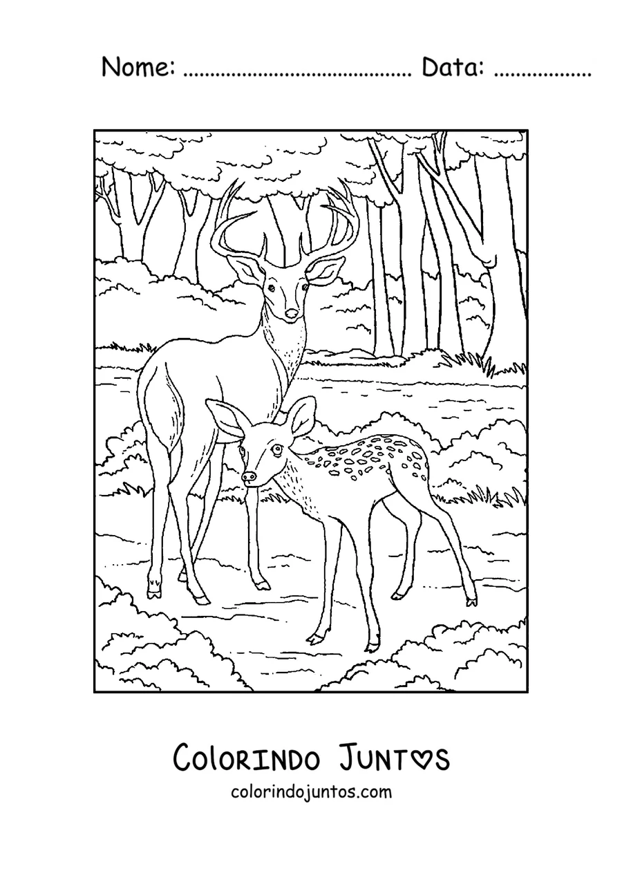 Desenho para colorir de um cervo e um filhote na floresta
