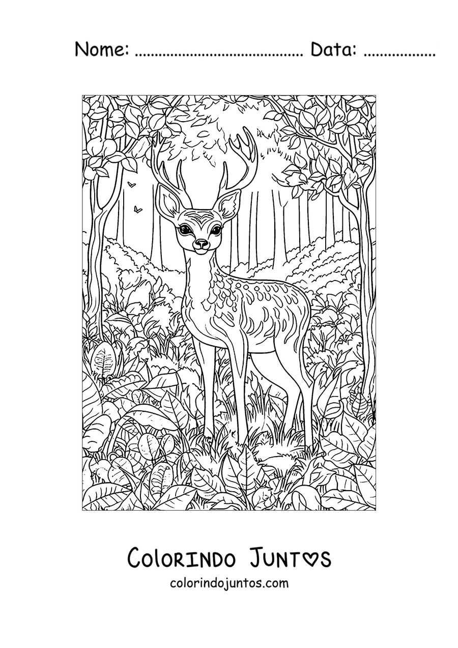 Desenho para colorir de um cervo entre a vegetação da floresta