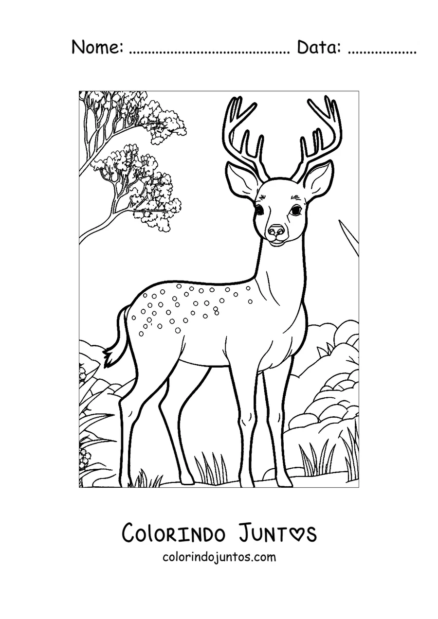 Desenho para colorir de um cervo jovem com manchas entre as árvores