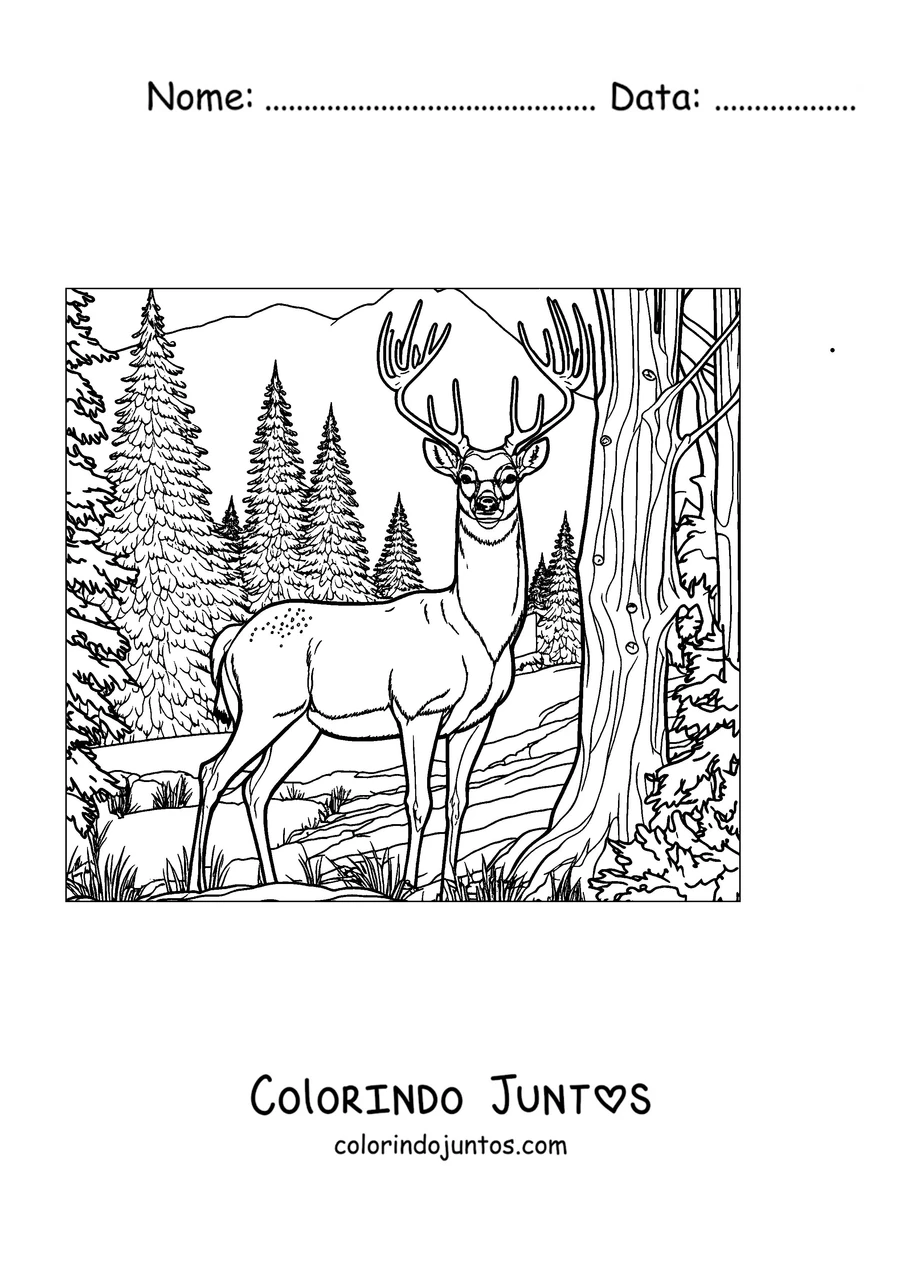 Desenho para colorir de um cervo na floresta de pinheiros