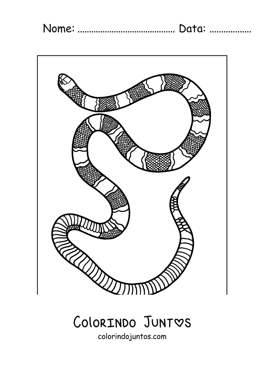 Desenho para colorir de uma cobra-coral com anéis