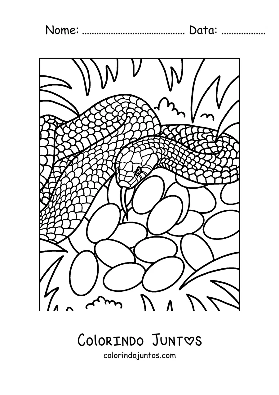 Desenho para colorir de uma cobra cuidando dos seus ovos