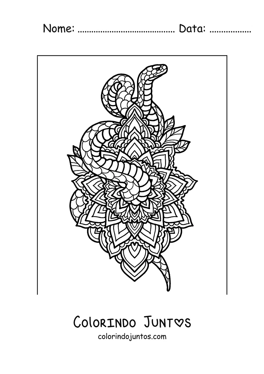 Desenho para colorir de uma cobra com um mandala