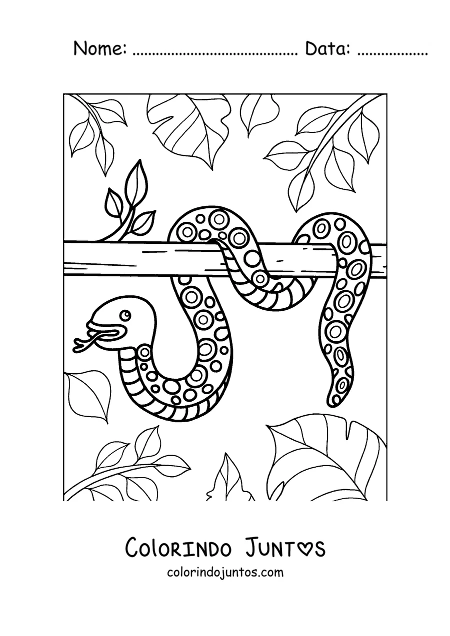 Desenho para colorir de uma cobra enroscada num galho