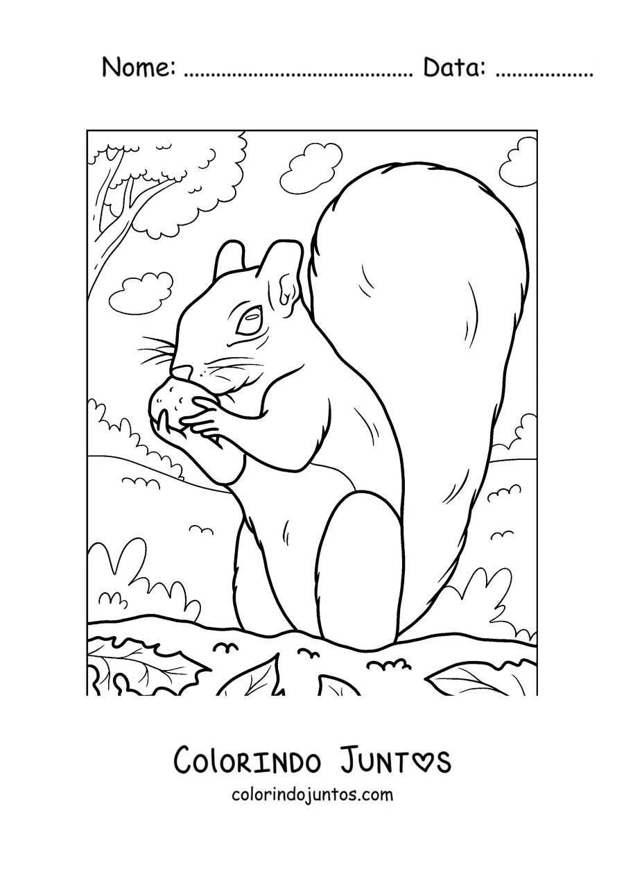 Desenho para colorir de um esquilo comendo uma noz