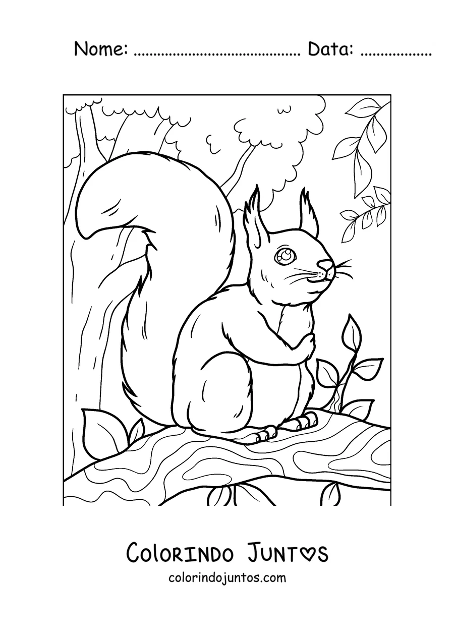 Desenho para colorir de um esquilo sorridente sentado num galho