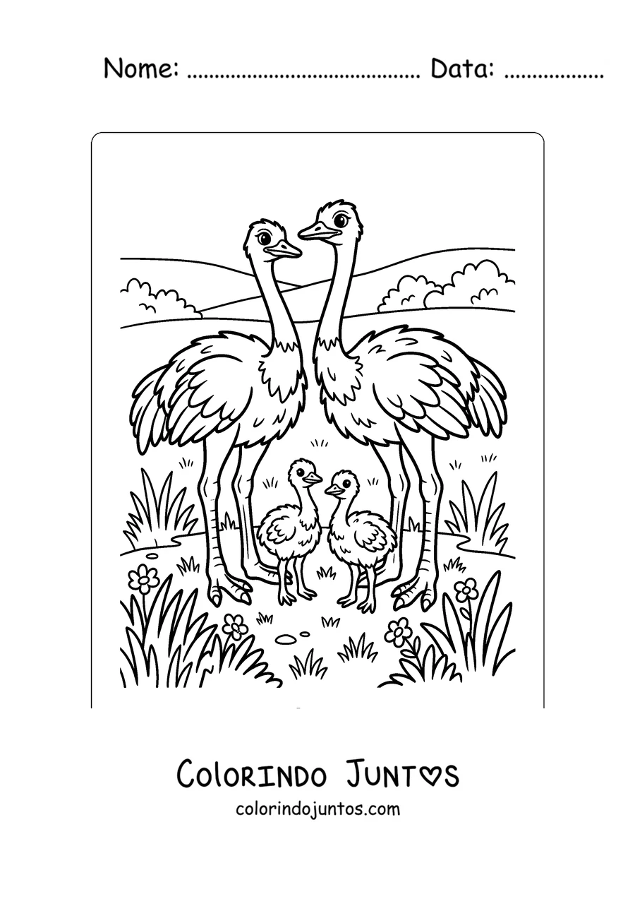 Desenho para colorir de uma família de avestruzes com os filhotes