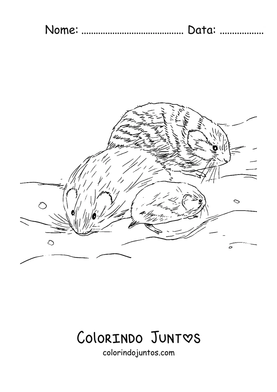 Desenho para colorir de uma família de lemingues na neve