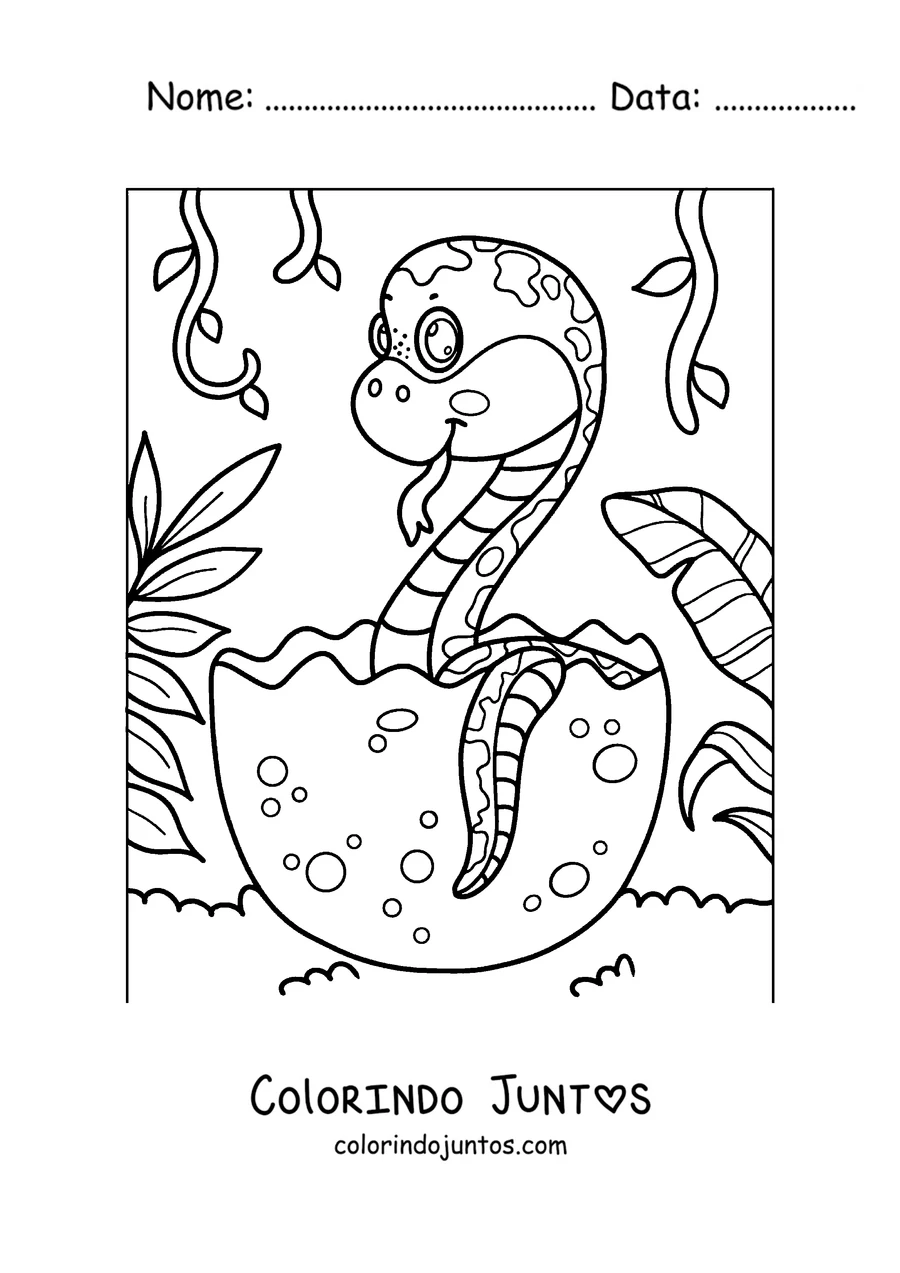 Desenho para colorir de um filhote de cobra saindo do ovo