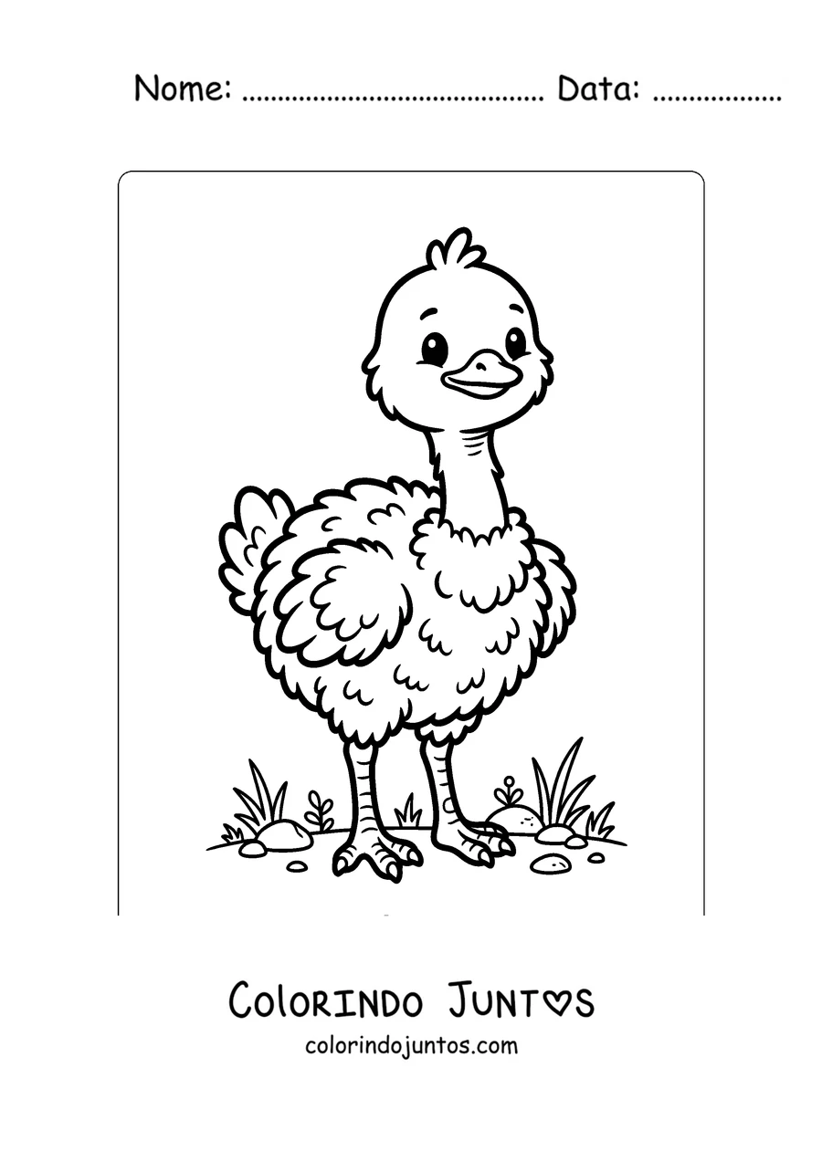 Desenho para colorir de um filhote de avestruz bem fofinho