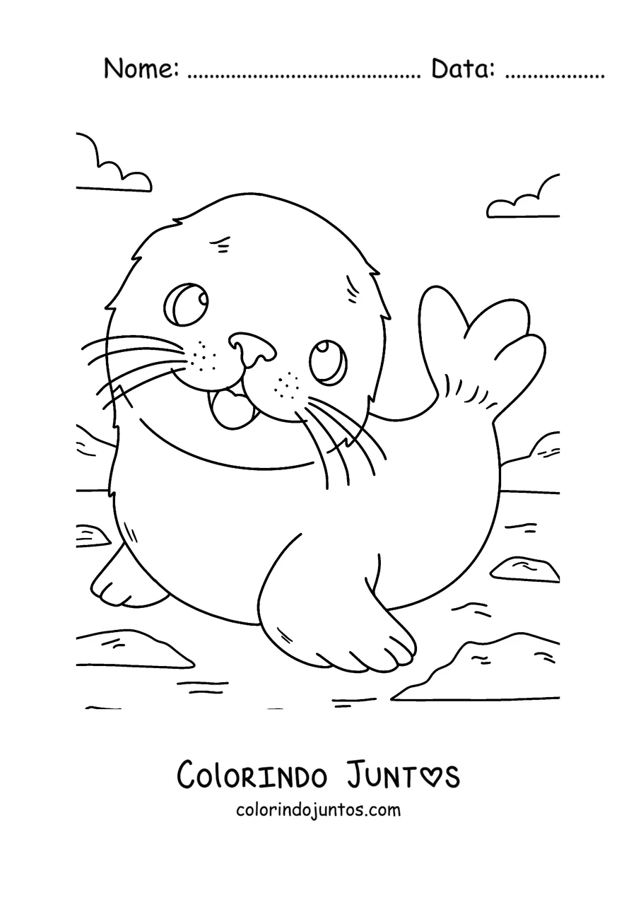 Desenho para colorir de um filhote de foca-da-gronelândia de pelo branco