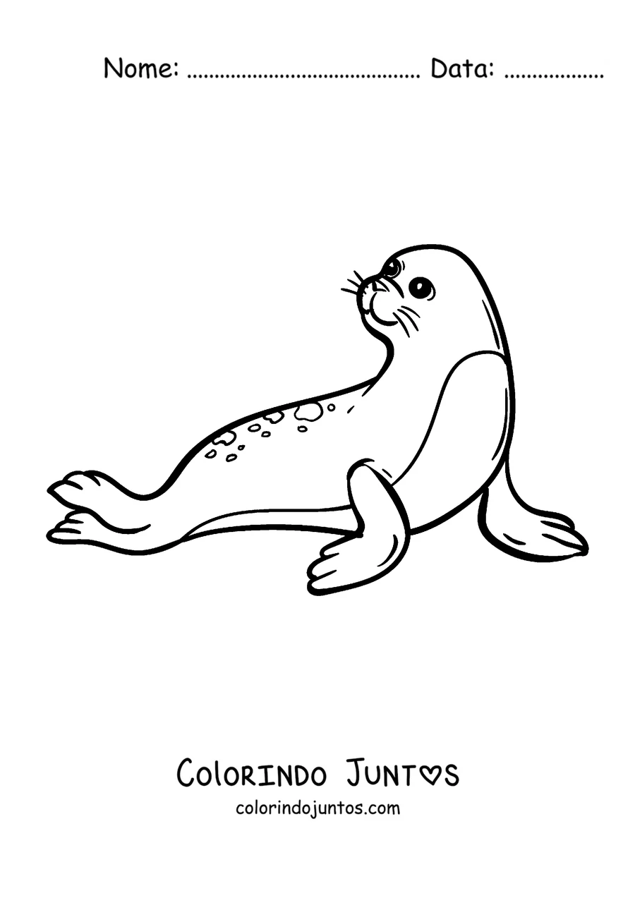 Desenho para colorir de uma foca descansando sobre o gelo