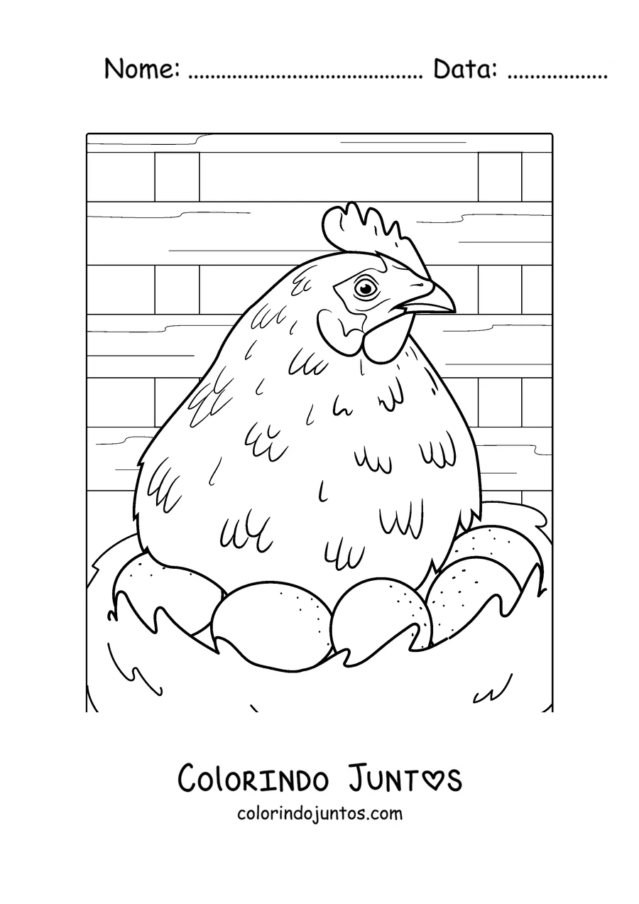 Desenho para colorir de uma galinha chocando seus ovos