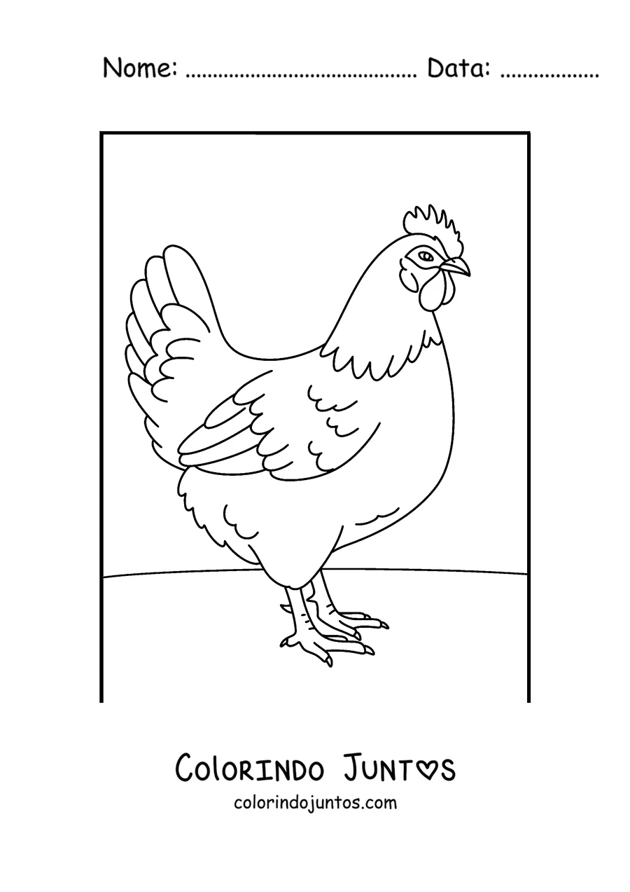 Desenho para colorir de uma galinha realista de perfil