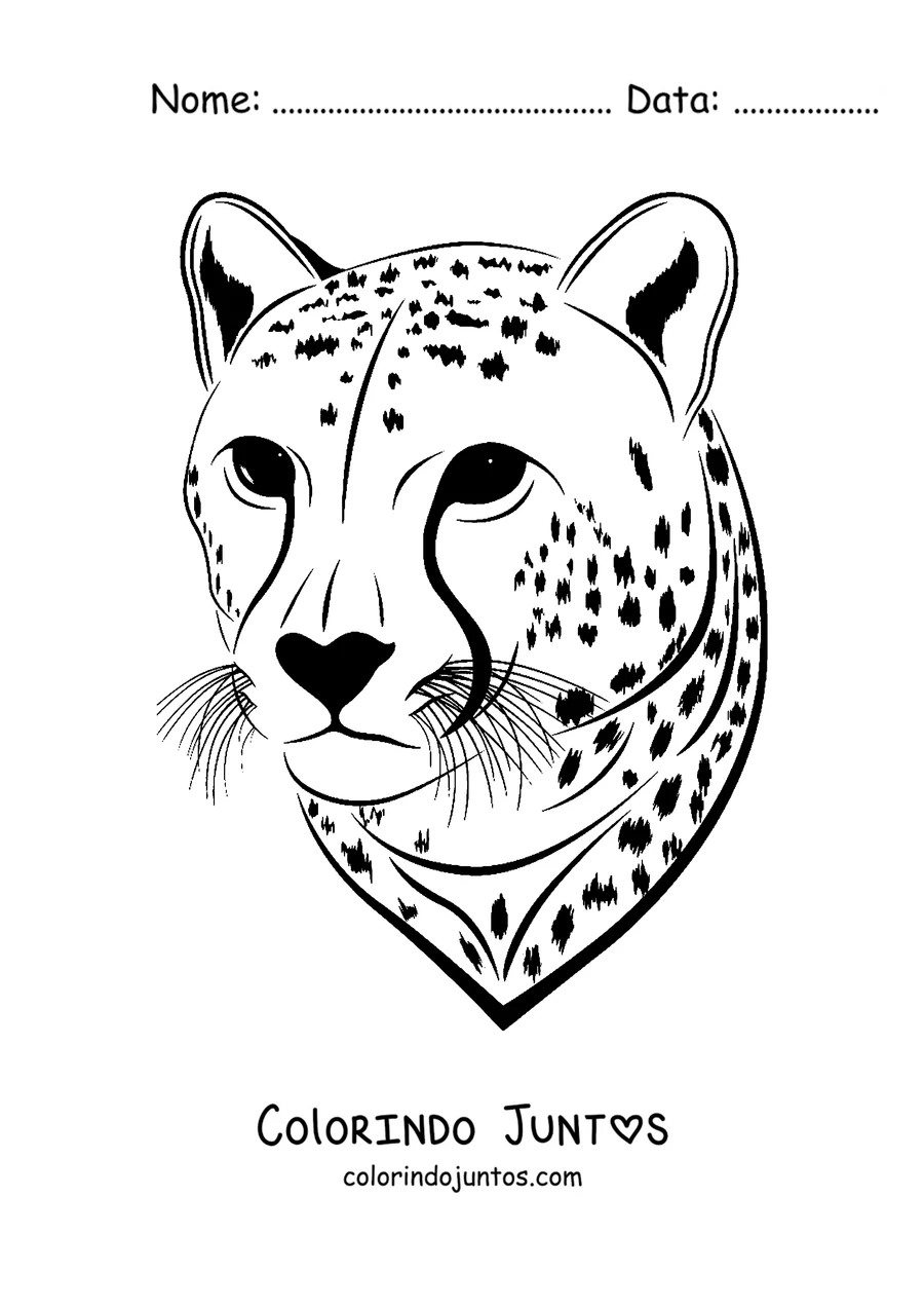 Desenho para colorir do rosto de um guepardo em close