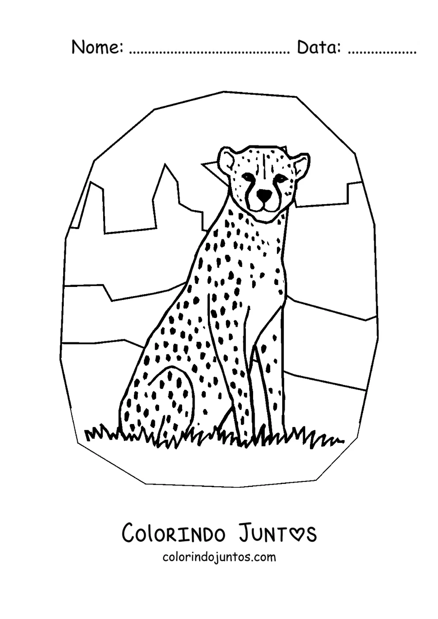 Desenho para colorir de um guepardo sentado na savana