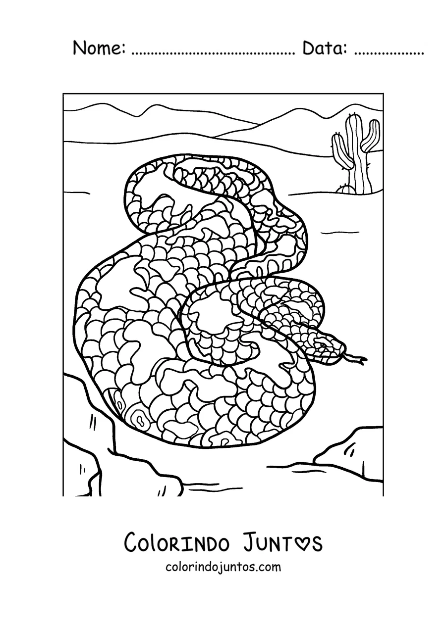 Desenho para colorir de uma jiboia enroscada
