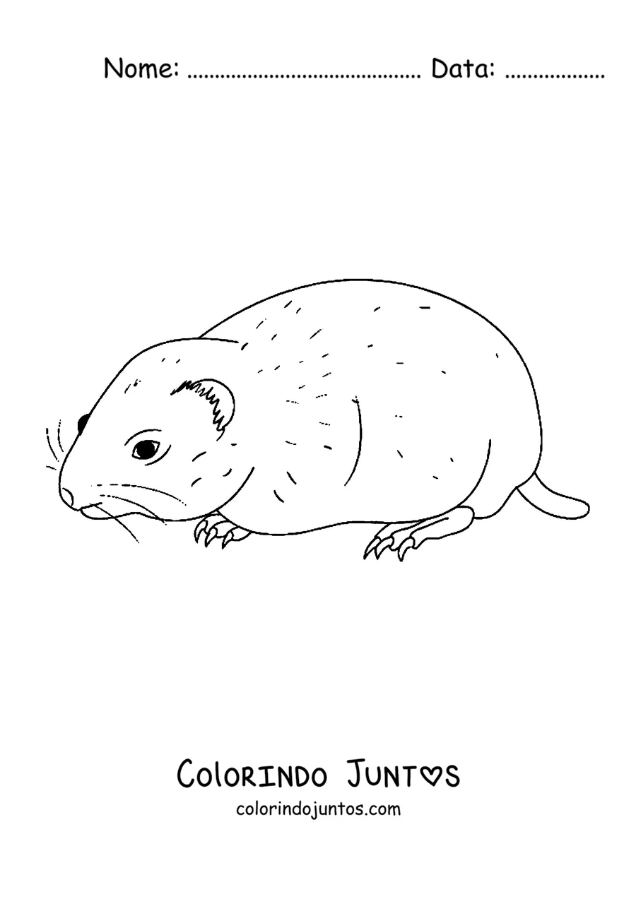 Desenho para colorir de um lemingue caminhando de perfil