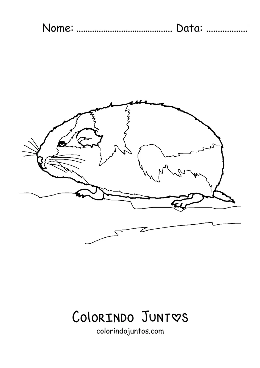 Desenho para colorir de um lemingue descansando de perfil