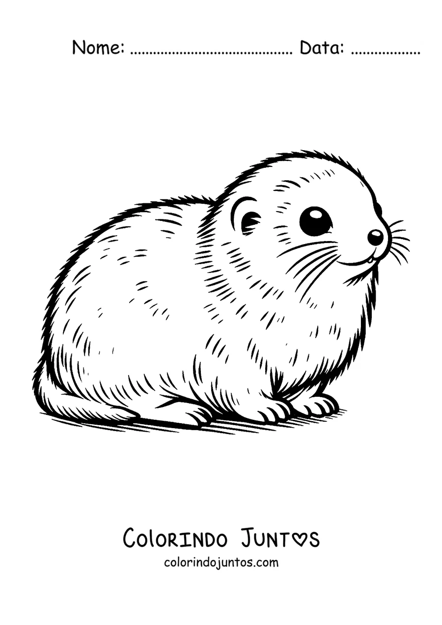 Desenho para colorir de um lemingue redondinho descansando