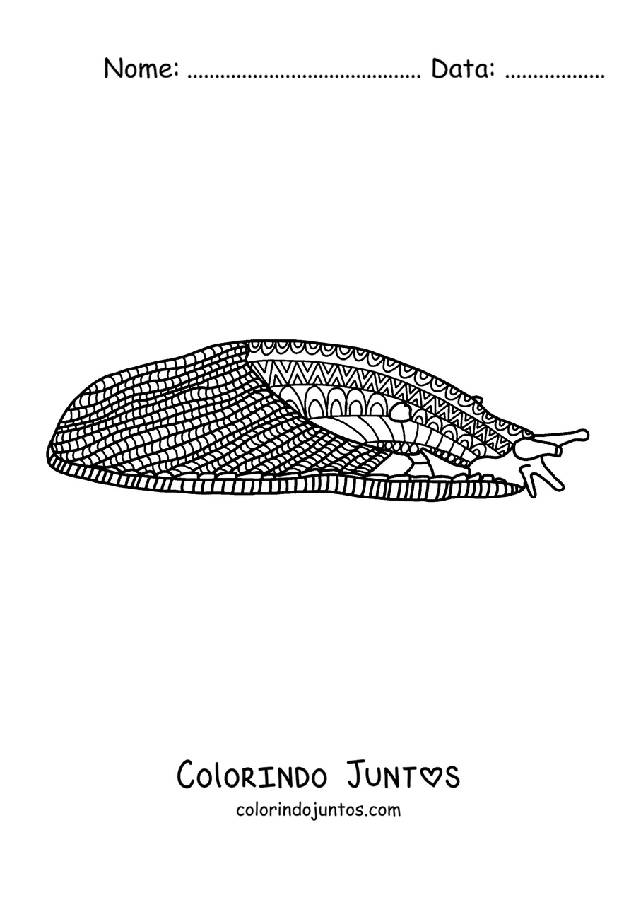 Desenho para colorir de uma lesma coberta de padrões para relaxar