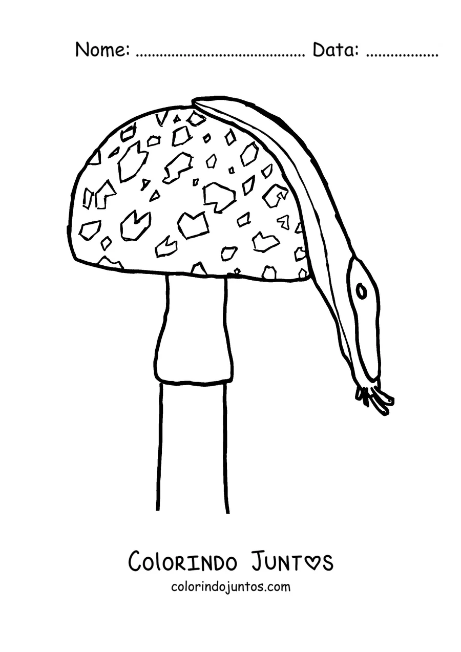 Desenho para colorir de uma lesma pendurada num cogumelo com pintas