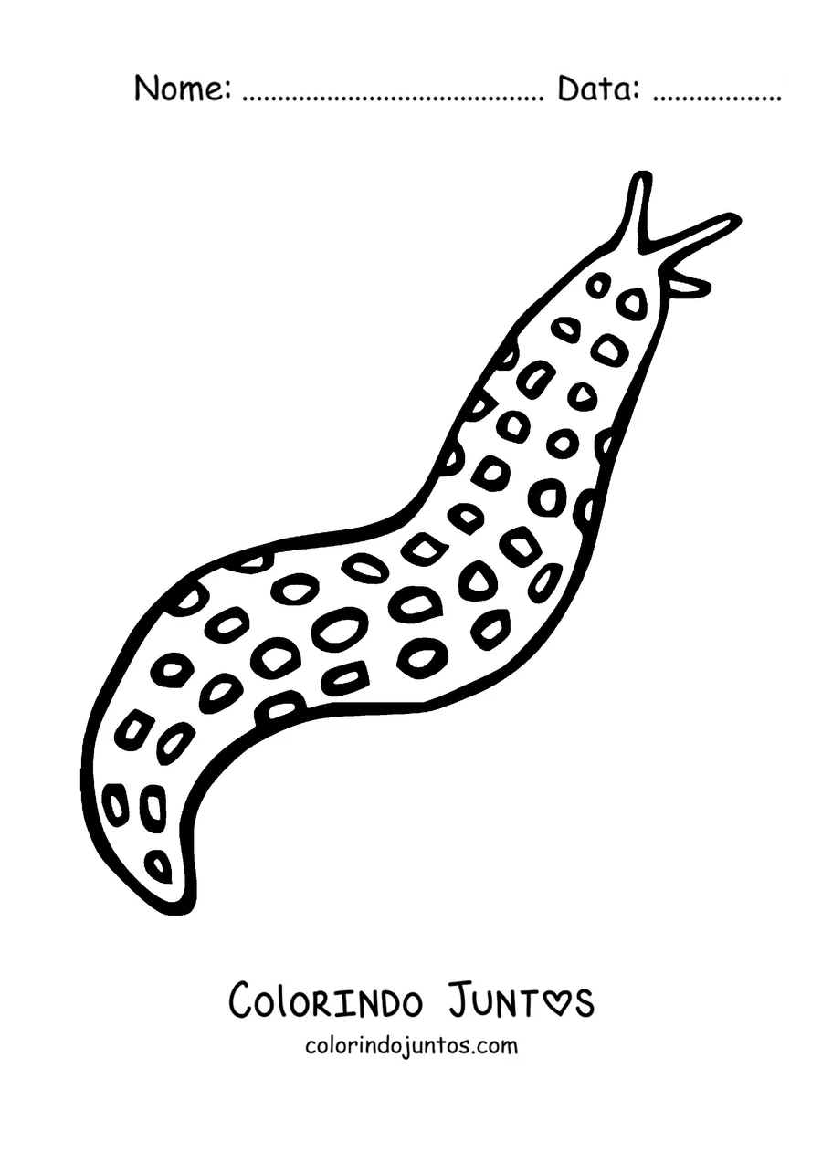 Desenho para colorir de uma lesma leopardo cheia de pintas