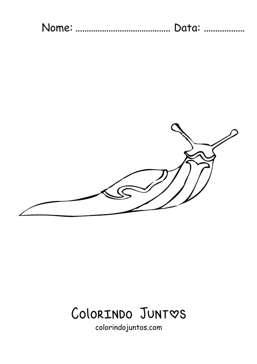 Desenho para colorir de uma lesma realista de corpo liso