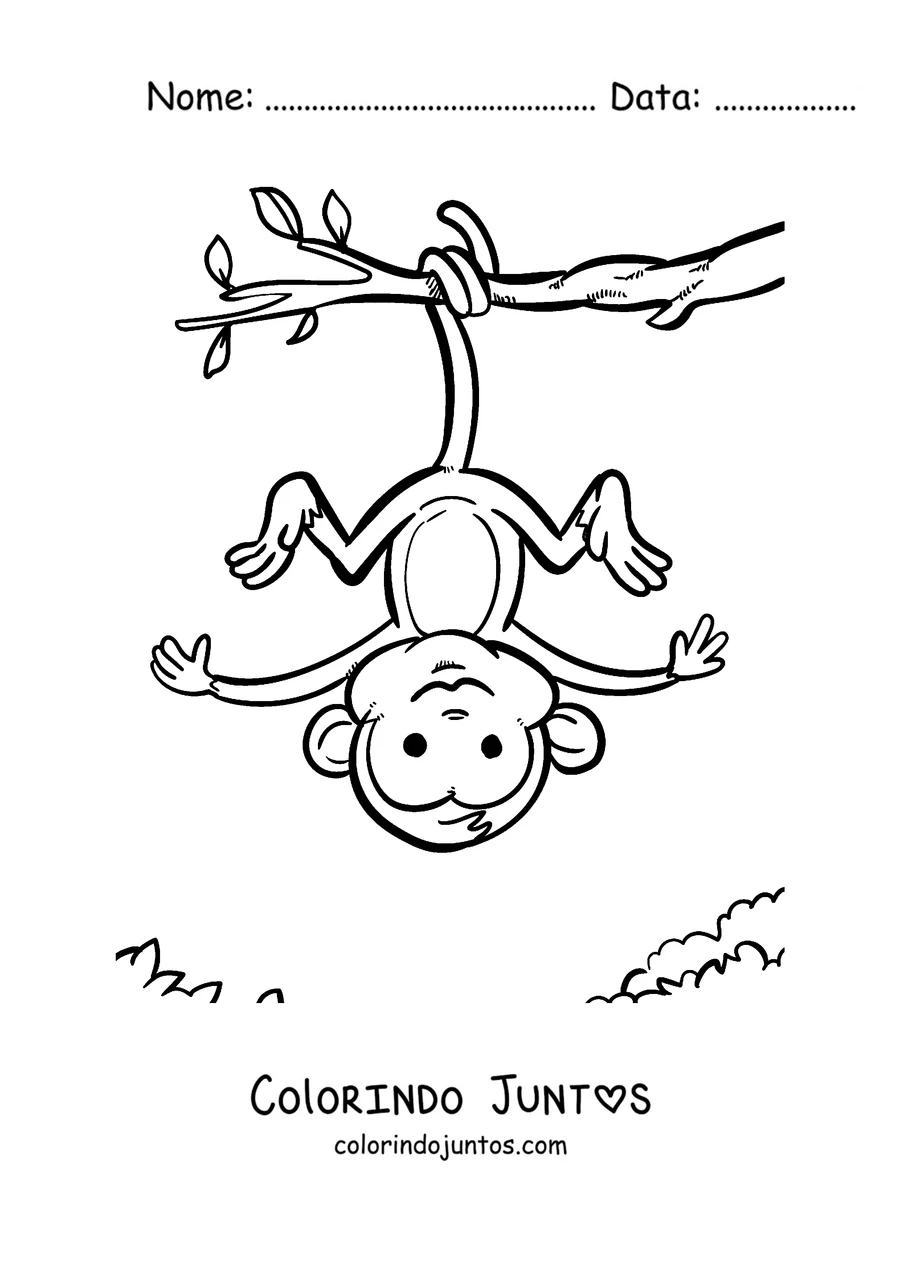 Desenho para colorir de um macaco pendurado de cabeça para baixo num galho