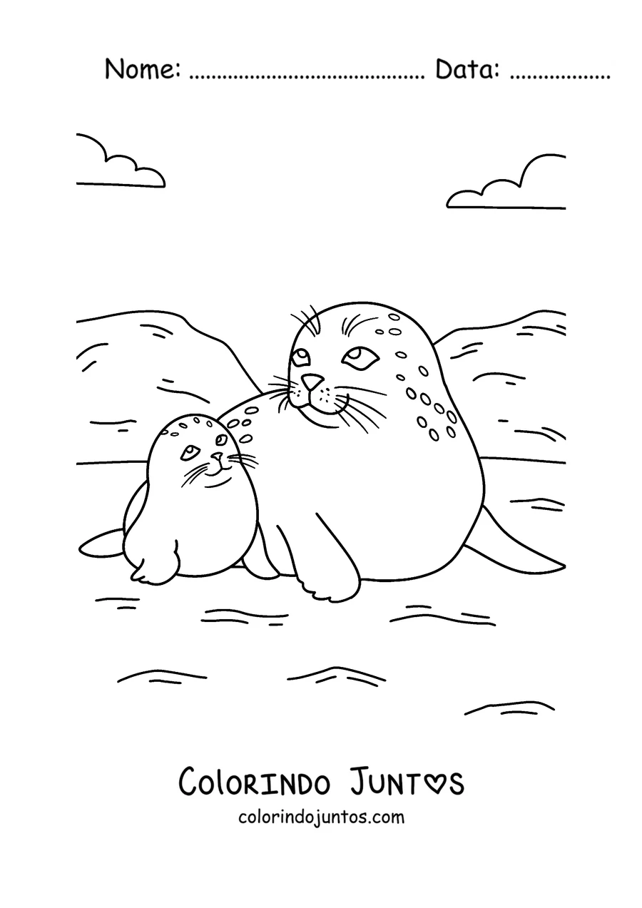 Desenho para colorir de uma mãe foca com o filhote na praia
