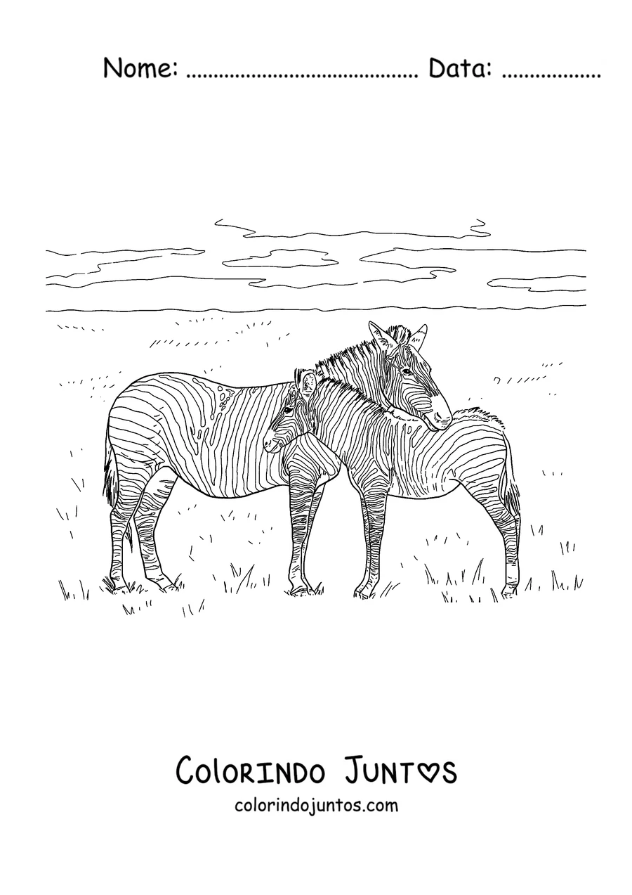 Desenho para colorir de uma mãe zebra com o filhote