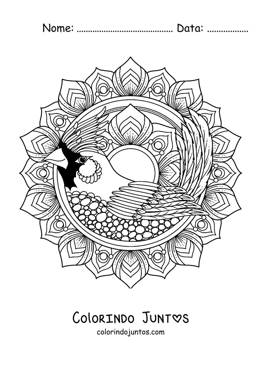 Desenho para colorir de uma mandala de inverno com um pássaro cardeal rodeado de pétalas