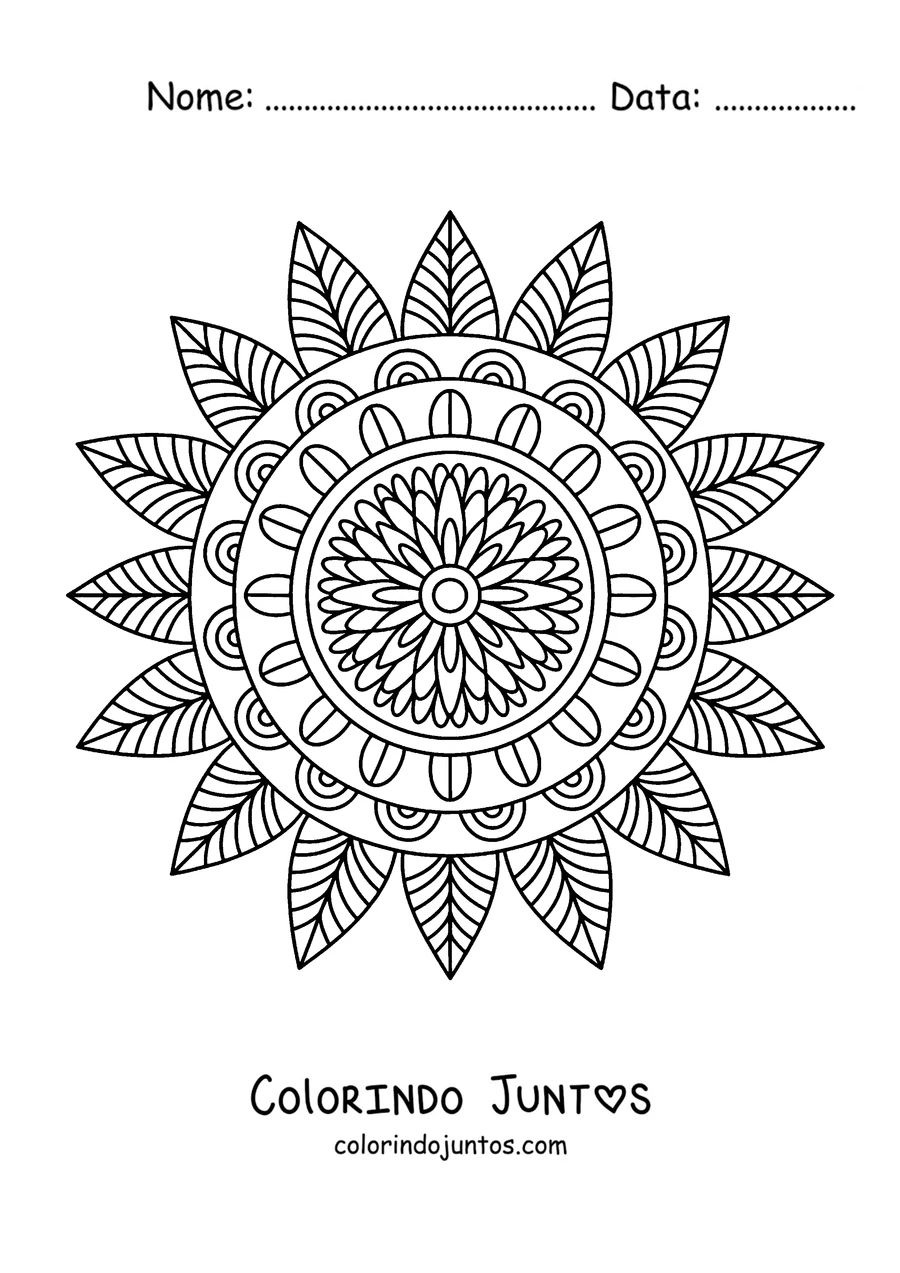 Desenho para colorir de uma mandala de outono em forma de girassol com pétalas pontudas