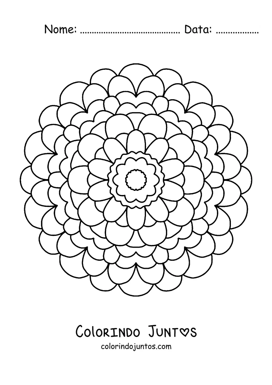 Desenho para colorir de uma mandala de primavera em forma de dália redonda de muitas pétalas