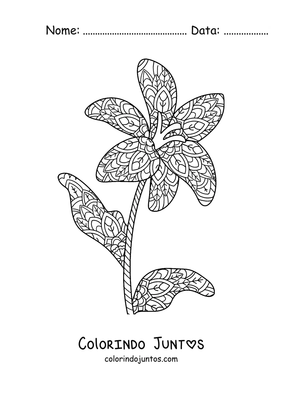 Desenho para colorir de uma mandala de primavera em forma de lírio com folhas e padrões