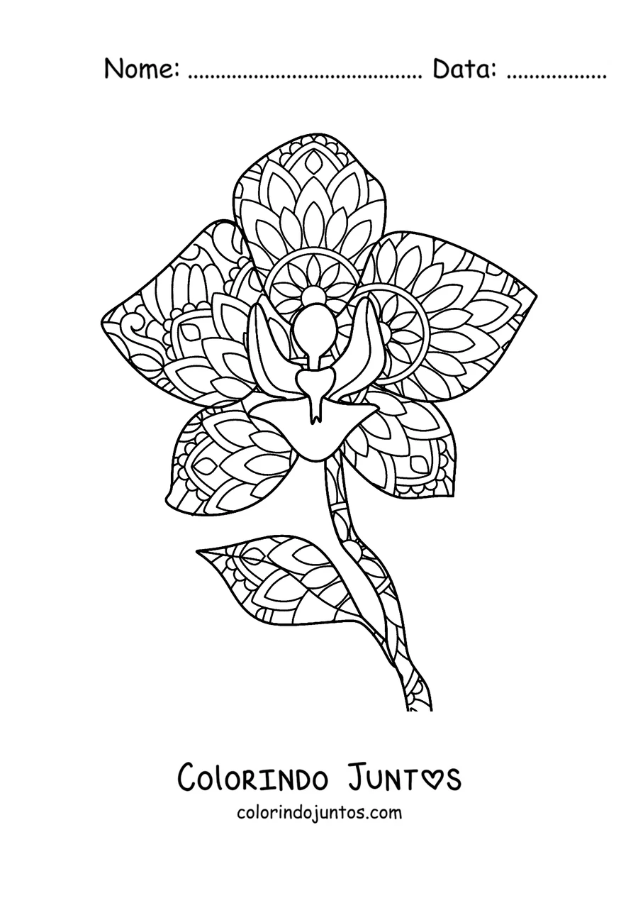 Desenho para colorir de uma mandala de primavera em forma de orquídea com pétalas decoradas
