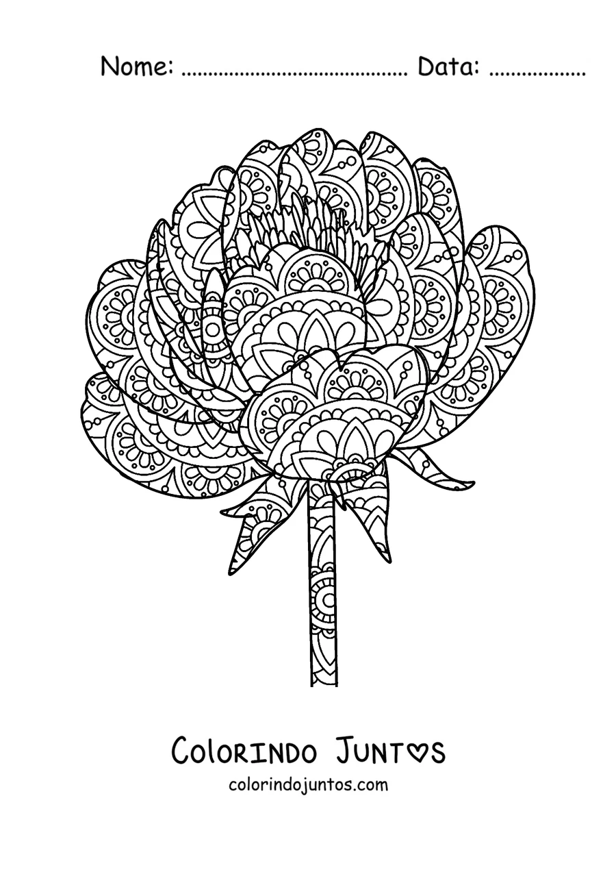 Desenho para colorir de uma mandala de primavera em forma de peônia cheia de pétalas com detalhes