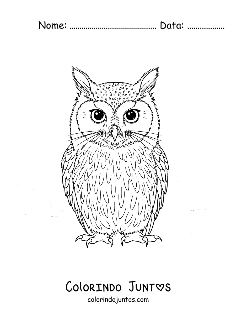Desenho para colorir de um Meowl majestoso com olhos grandes