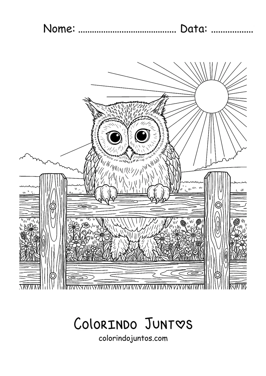 Desenho para colorir de um Meowl pousado numa cerca ao sol