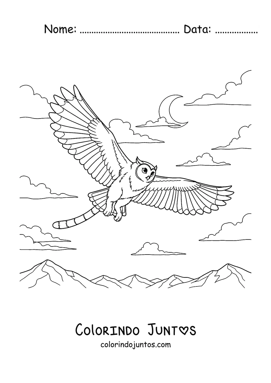 Desenho para colorir de um Meowl voando sob a lua