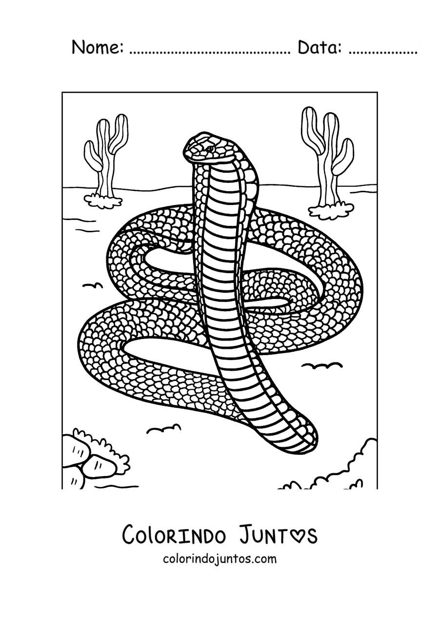 Desenho para colorir de uma naja-real enroscada no deserto