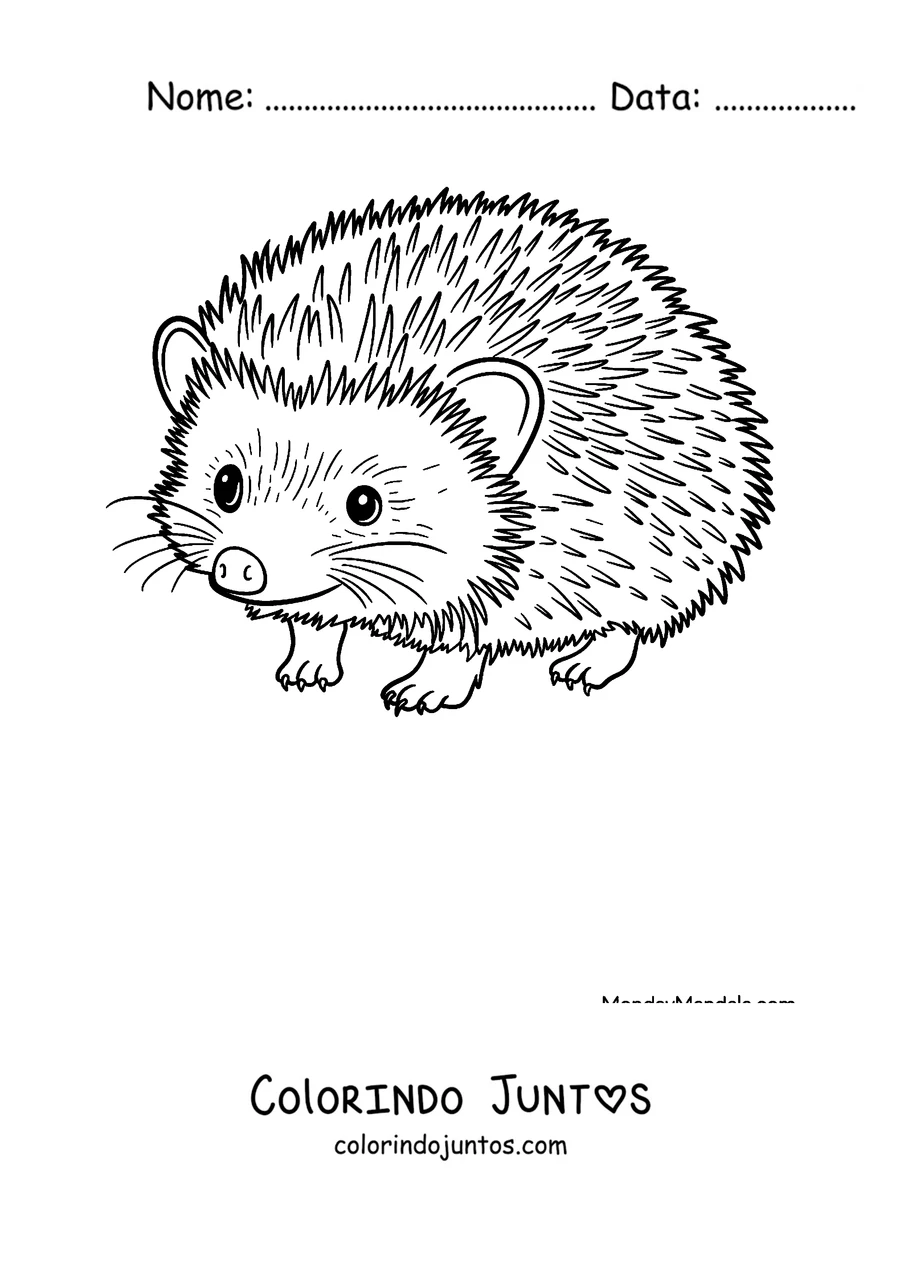 Desenho para colorir de um ouricinho caminhando de lado