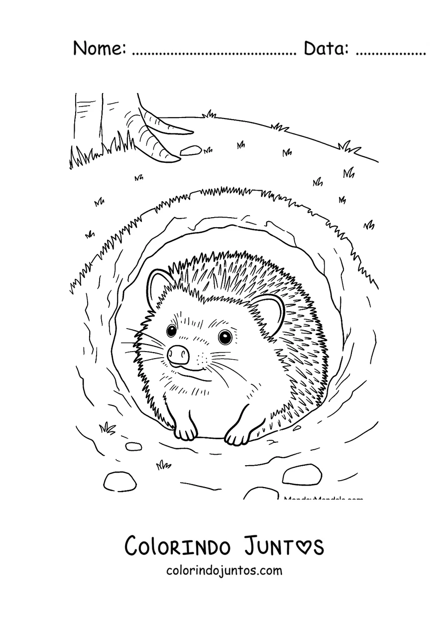 Desenho para colorir de um ouriço espiando de sua toca