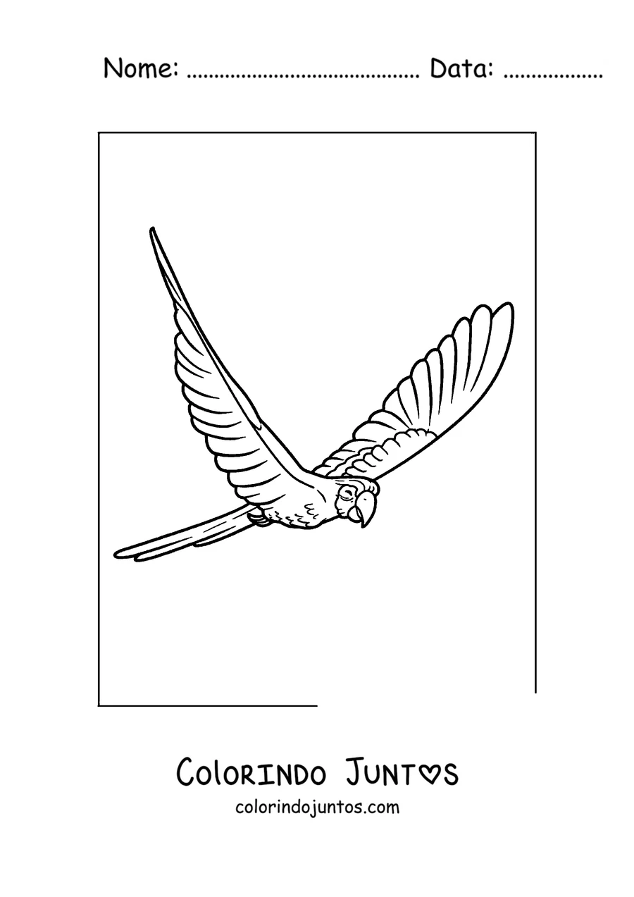 Desenho para colorir de uma arara-azul voando com as asas abertas
