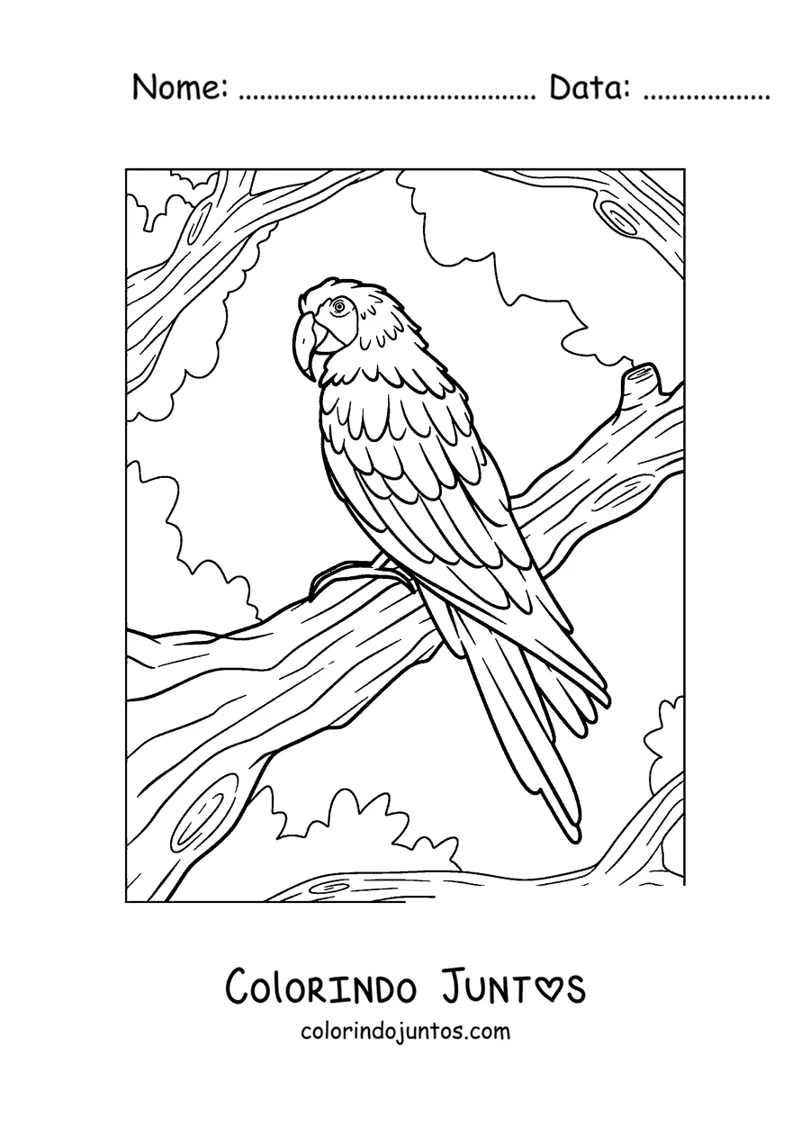 Desenho para colorir de uma arara pousada em um galho